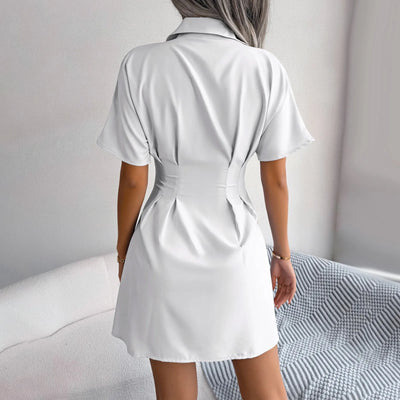 Ann – Tailored Pleat Shirt Dress